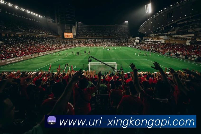 App Interface Preview